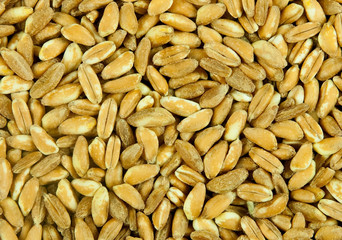 Spelt - healthy grain