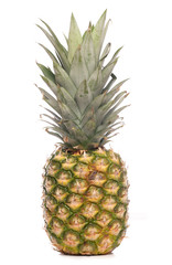 Whole Pineapple