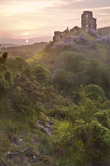 Romantic fantasy magical castle ruins against stunning vibrant s
