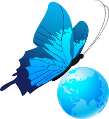 papillon et globe © Vako