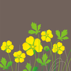 yellow flowers