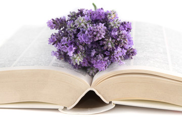 buch mit lavendel