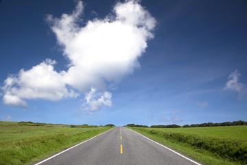 road view of summer time.