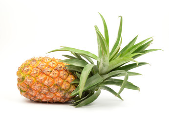 Fototapeta premium pineapple isolated