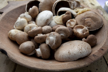 Mushroom varieties in rustic wooden bowl
