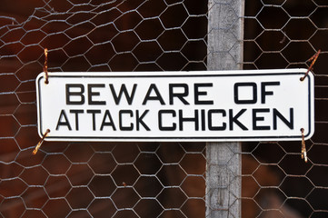 beware of attack chicken