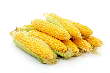 Few corn isolated on white