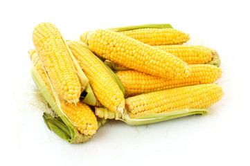 Few corn isolated on white