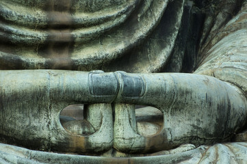 Buddha's hands
