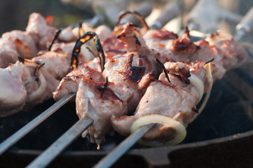 Shish kebab