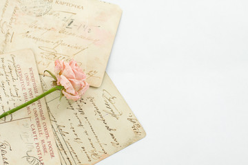 Vintage Background with Rose Flower and old Letter