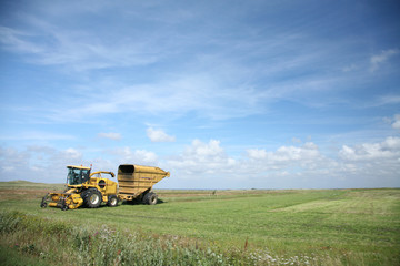 Fototapeta premium rural denmark