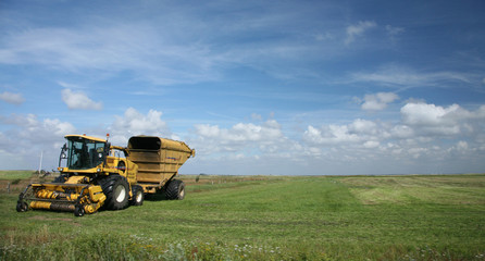 Obraz premium rural denmark