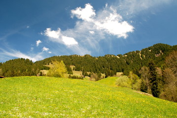 Tyrolean Spring