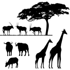 African animals, vector silhouettes - 33008046
