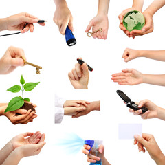 Hand set Palm Business card Hopefully  Earth help Green plant