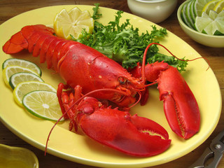 lobster