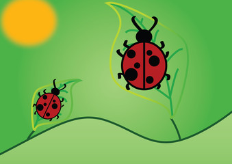 Coccinelle portafortuna