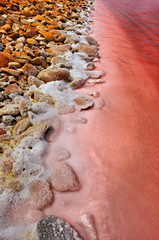 Salina Camargue Francia