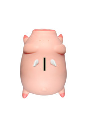 Piggy Bank isolated on white