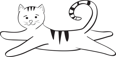 streaped kitty jumping and plays