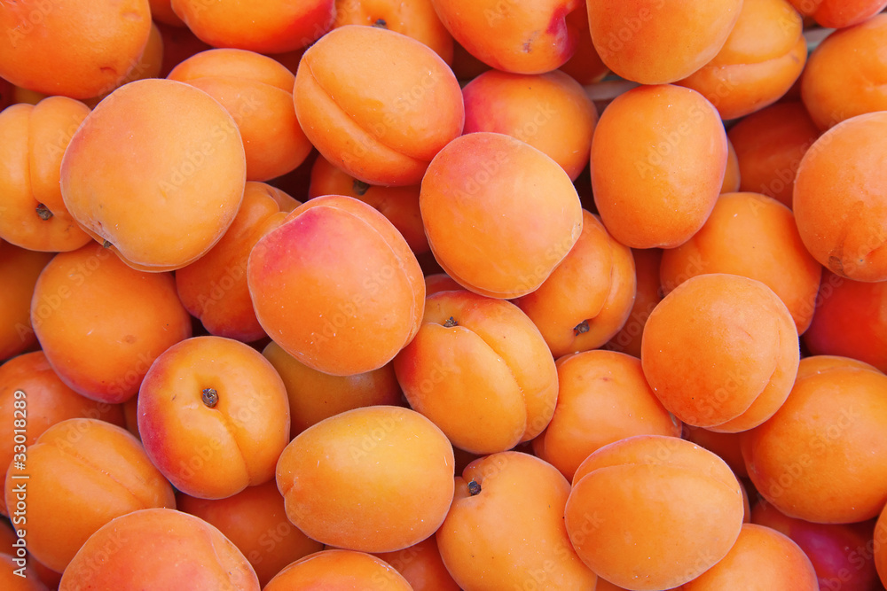 Wall mural apricot background