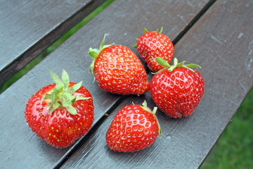 freshly picked strawberries