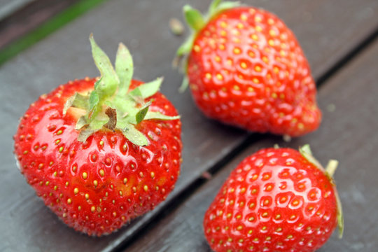 beautiful red strawberries