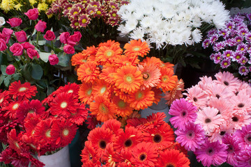 Variety of colourful bouquets of flowers