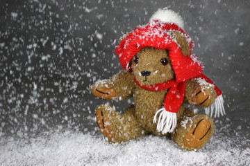 Teddybär mit Mütze und Schal im Schnee