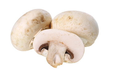 Champignon freigestellt