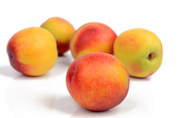 nectarine