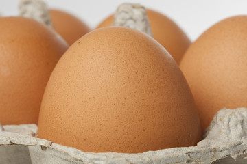 Brown eggs in an egg carton