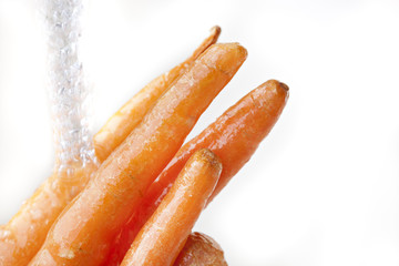 Carrots being washed