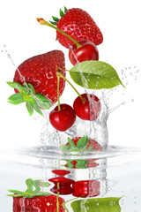 Obst 408