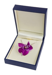 flower in blue gift box isolated