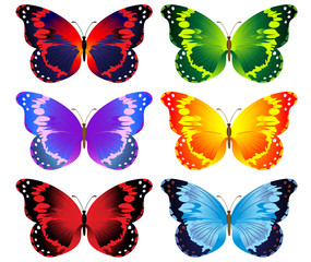 Plakat illustration of set of colorful butterflies
