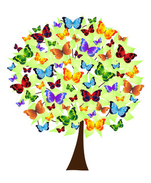 flower tree with colored butterflies