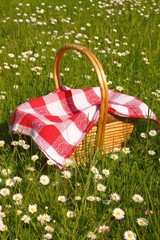 picnic basket