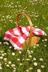  picnic basket © claraveritas