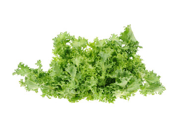 green salad isolated on the white background