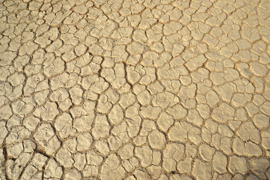 desert texture