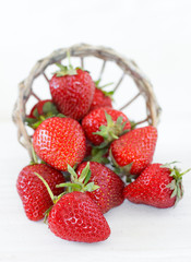 Beautiful strawberry