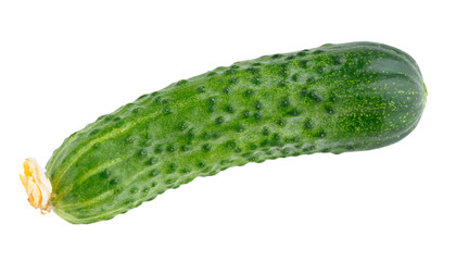 Fresh cucumber isolated on white background