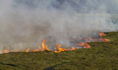 Heathland Fire