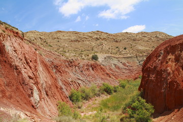 Barranco de los Ojos Aspe Alicante