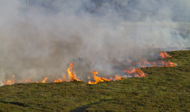 Heathland Fire