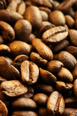 Coffee beans background