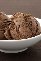 delicious gourmet chocolate ice cream