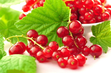 Rote Johannisbeeren